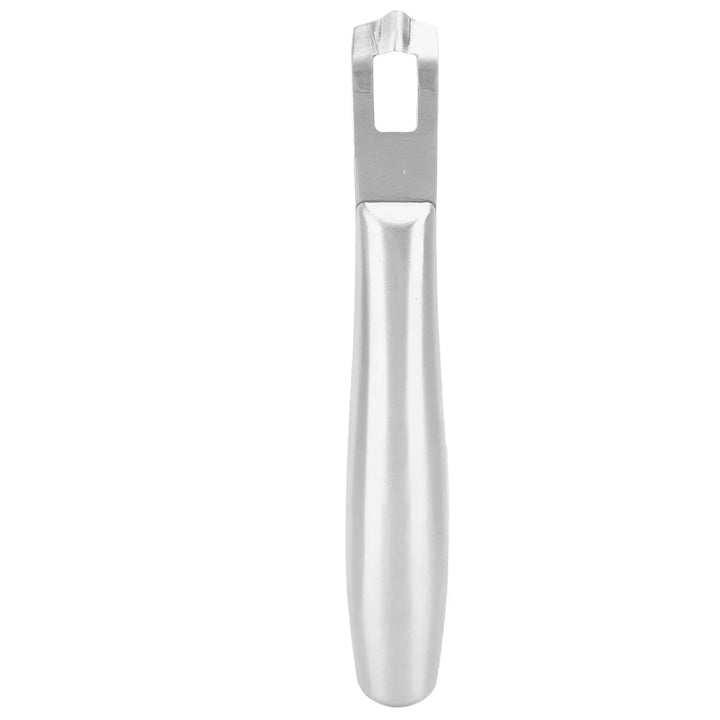 Stainless Steel Lemon Zester & Peeler Tool