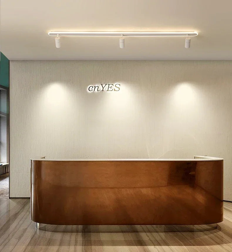 Nordic LED Ceiling Spotlight – Smart Room Lamp