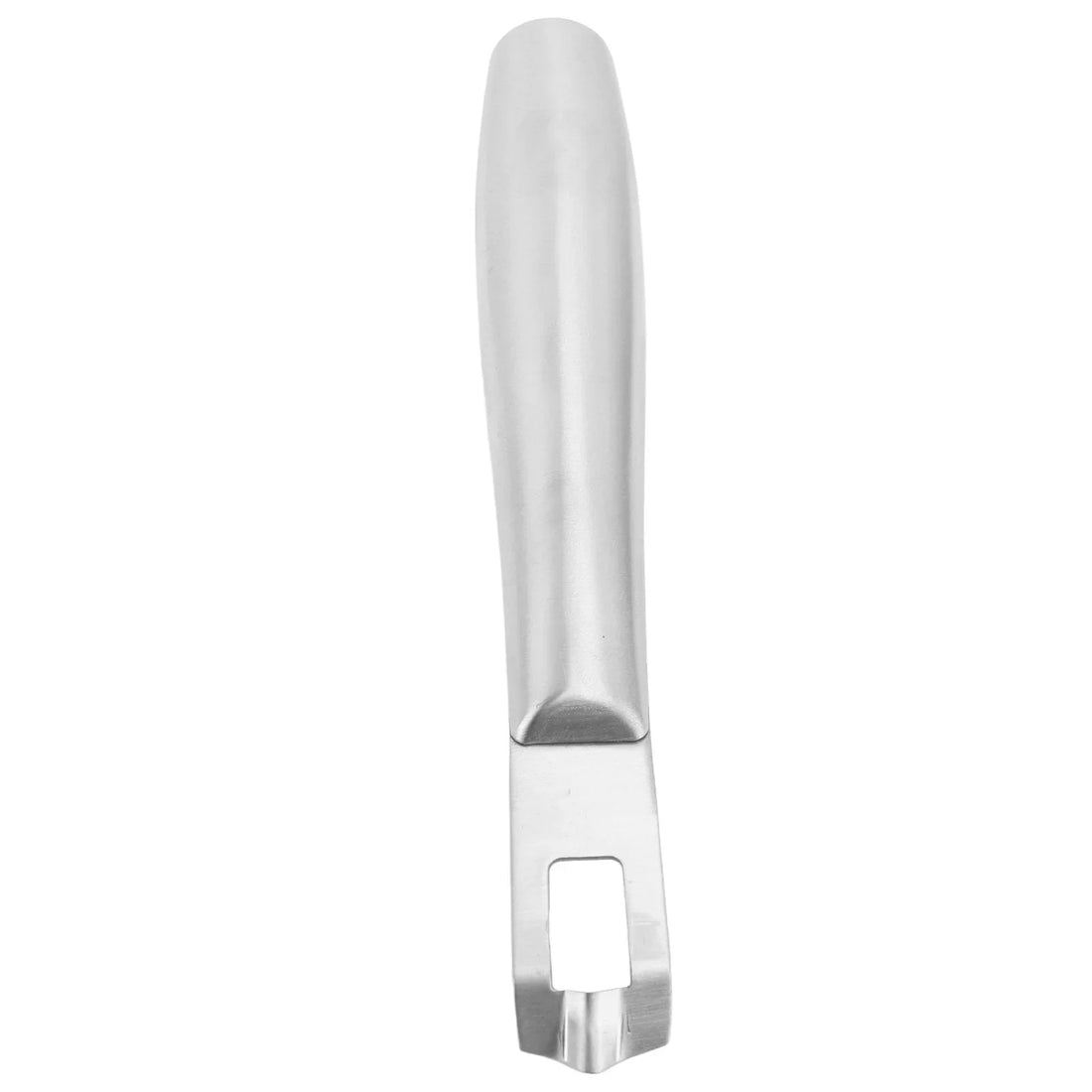 Stainless Steel Lemon Zester & Peeler Tool